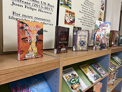 Children's Literature book section at SDSU Library - shelves with books